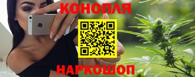 МДПВ Можга